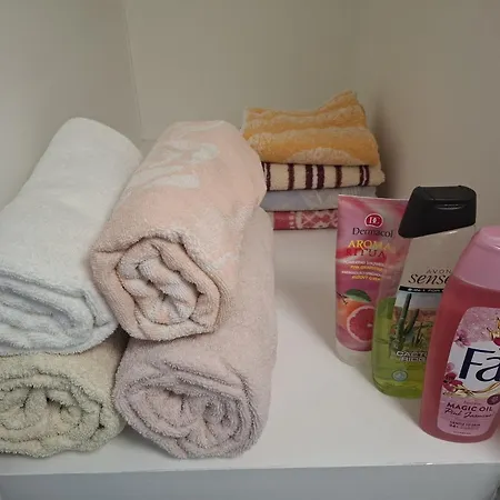 2 Izbovy 65 M2 So 4 Lozkami Нитра